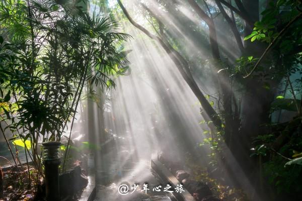 怎样才能避免与不适合的人相处呢？游戏画面